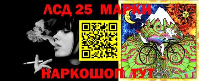 гидра Беслан