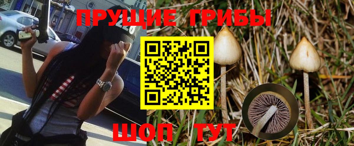 цена   Вязьма  Галлюциногенные грибы прущие грибы 