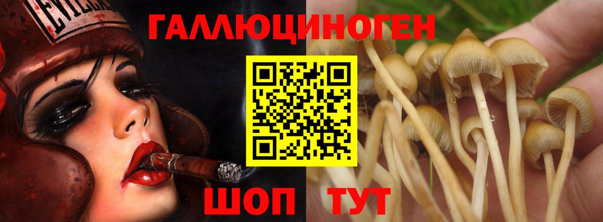 Псилоцибиновые грибы GOLDEN TEACHER  Вход с VPN  продажа наркотиков  Вязьма 